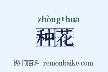 种花是什么意思的图片